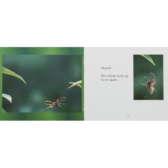 Ready, Steady, Jump!  Level 6-8 - Modern Teaching Aids NZ