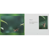 Ready, Steady, Jump!  Level 6-8 - Modern Teaching Aids NZ