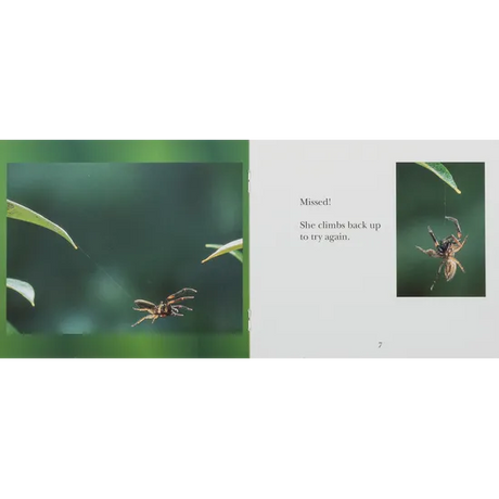 Ready, Steady, Jump!  Level 6-8 - Modern Teaching Aids NZ