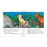 The Rock in the Road  Level 17-18 - Modern Teaching Aids NZ