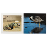 Snap! Splash!   Level 9-11 - Modern Teaching Aids NZ