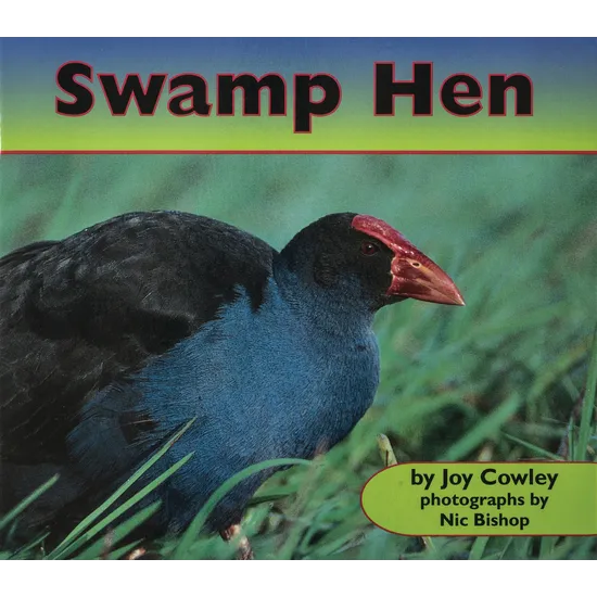 Swamp Hen - Modern Teaching Aids NZ