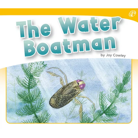 The Water Boatman - Modern Teaching Aids NZ