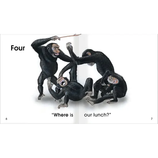 Where Is Lunch? Levels 1-2 - Modern Teaching Aids NZ