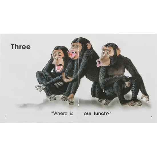 Where Is Lunch? Levels 1-2 - Modern Teaching Aids NZ