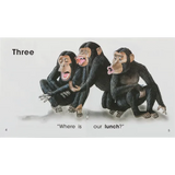 Where Is Lunch? Levels 1-2 - Modern Teaching Aids NZ