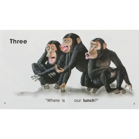 Where Is Lunch? Levels 1-2 - Modern Teaching Aids NZ