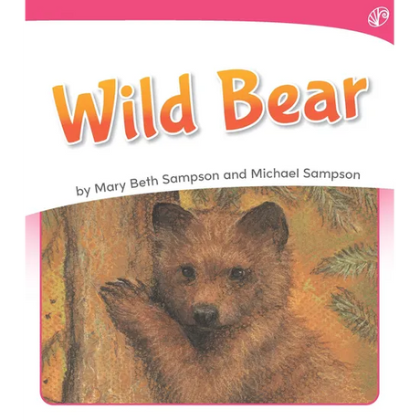Wild Bear  Levels 1-2 - Modern Teaching Aids NZ