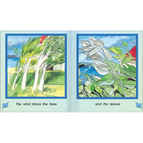 The Wind  Level 6-8 - Modern Teaching Aids NZ