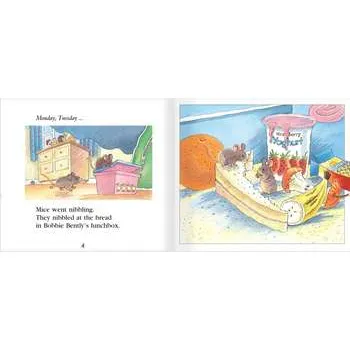 The Lunchbox Level 12-14 - Modern Teaching Aids NZ