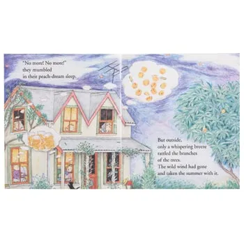 A Cupboard Full of Summer Level 17-18 - Modern Teaching Aids NZ