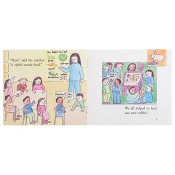 A Name for a Rabbit Level 15-16 - Modern Teaching Aids NZ