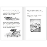 Ducks Crossing  Level 23-24 - Modern Teaching Aids NZ