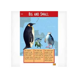 Saving the Yellow Eye  Level 23-24 - Modern Teaching Aids NZ