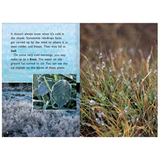 The Shapes of Water  Level 23-24 - Modern Teaching Aids NZ