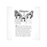 The Bird in the Basket  Level 23-24 - Modern Teaching Aids NZ