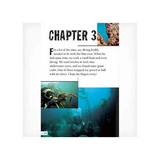 Searching for Sea Lions  Level 25-26 - Modern Teaching Aids NZ