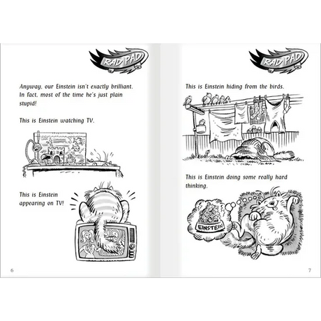 Ask Einstein!  Level 25-26 - Modern Teaching Aids NZ