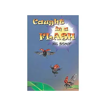 Caught in a Flash  lev 29-30 - Modern Teaching Aids NZ