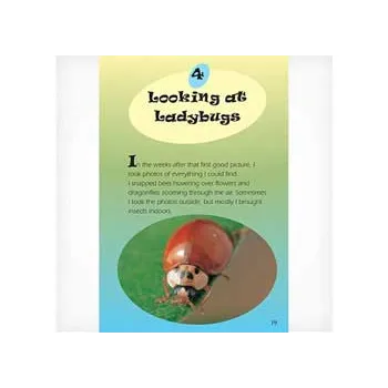 Caught in a Flash  lev 29-30 - Modern Teaching Aids NZ