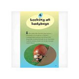 Caught in a Flash  lev 29-30 - Modern Teaching Aids NZ