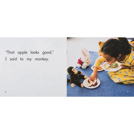 The Toys' Picnic   Level 3-5 - Modern Teaching Aids NZ