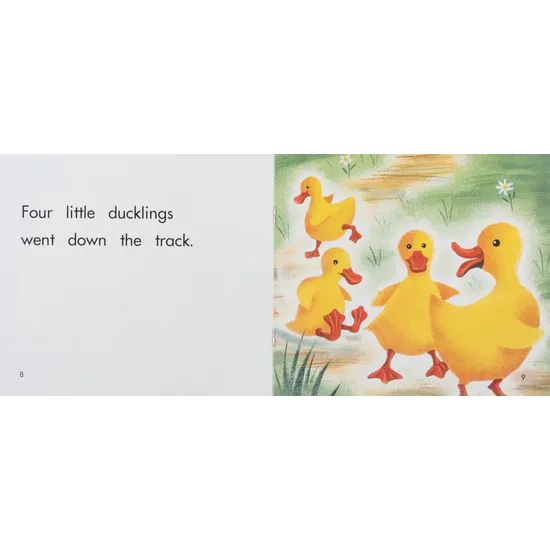Little Ducklings  Level 3-5 - Modern Teaching Aids NZ