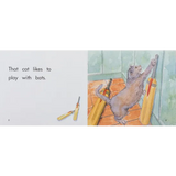 That Cat Book Level 3-5 - Modern Teaching Aids NZ