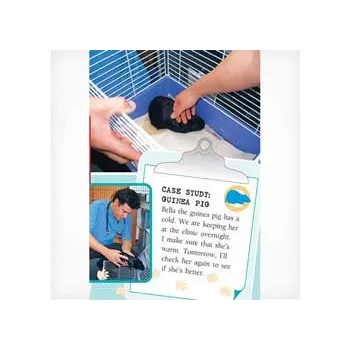 Pet Vet  Level 21-22 - Modern Teaching Aids NZ