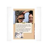 Horse Power  Level 21-22 - Modern Teaching Aids NZ