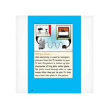 Flicking the Switch  Level 21-22 - Modern Teaching Aids NZ