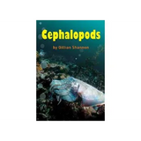 Cephalopods  Level 21-22 - Modern Teaching Aids NZ