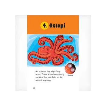 Cephalopods  Level 21-22 - Modern Teaching Aids NZ
