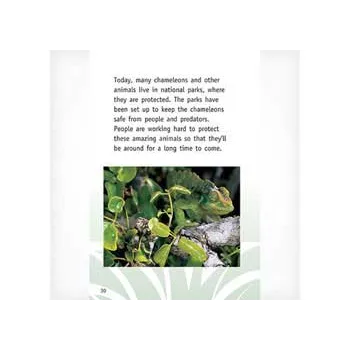 Chameleons of the Rain Forest  Level 21-22 - Modern Teaching Aids NZ