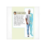 Making Yoghurt  Level 19-20 - Modern Teaching Aids NZ