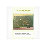 The Maze Craze  Level 19-20 - Modern Teaching Aids NZ