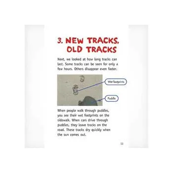 Tracks on the Ground  Level 19-20 - Modern Teaching Aids NZ