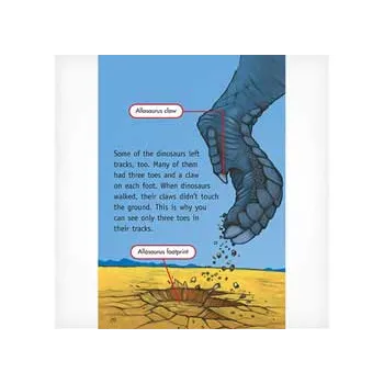 Tracks on the Ground  Level 19-20 - Modern Teaching Aids NZ