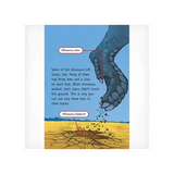 Tracks on the Ground  Level 19-20 - Modern Teaching Aids NZ