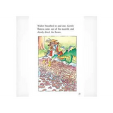 Walter and the Inventor's Garden  Level 19-20 - Modern Teaching Aids NZ