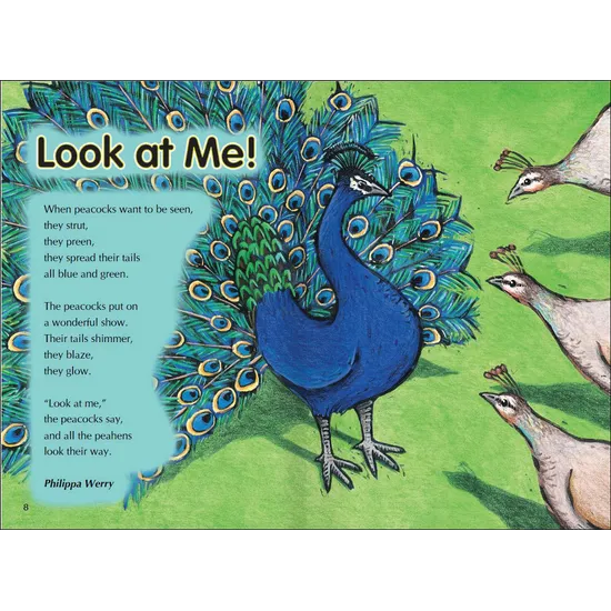 Tail Talk & Animal Messages  Level 23-24 - Modern Teaching Aids NZ