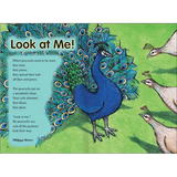 Tail Talk & Animal Messages  Level 23-24 - Modern Teaching Aids NZ