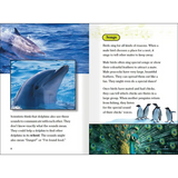 Tail Talk & Animal Messages  Level 23-24 - Modern Teaching Aids NZ