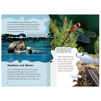 When Foxes Came to Stay & At the Pond Level 21-22 - Modern Teaching Aids NZ