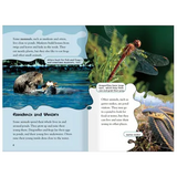 When Foxes Came to Stay & At the Pond Level 21-22 - Modern Teaching Aids NZ