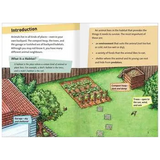 No Safe Place & Animal Neighbours Level 27-28 - Modern Teaching Aids NZ