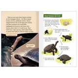 Wood Stork Swamp Galapagos Giants  Level 25-26 - Modern Teaching Aids NZ