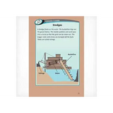 Gold Fever Book Level 23-24 - Modern Teaching Aids NZ