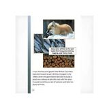 The Iron Road  Level 23-24 - Modern Teaching Aids NZ