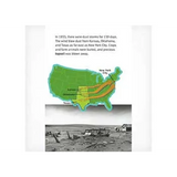 Smog, Dust, and Toads  Level 23-24 - Modern Teaching Aids NZ